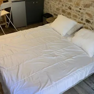  Appartement Studio With Exposed Stone Vieux Lyon